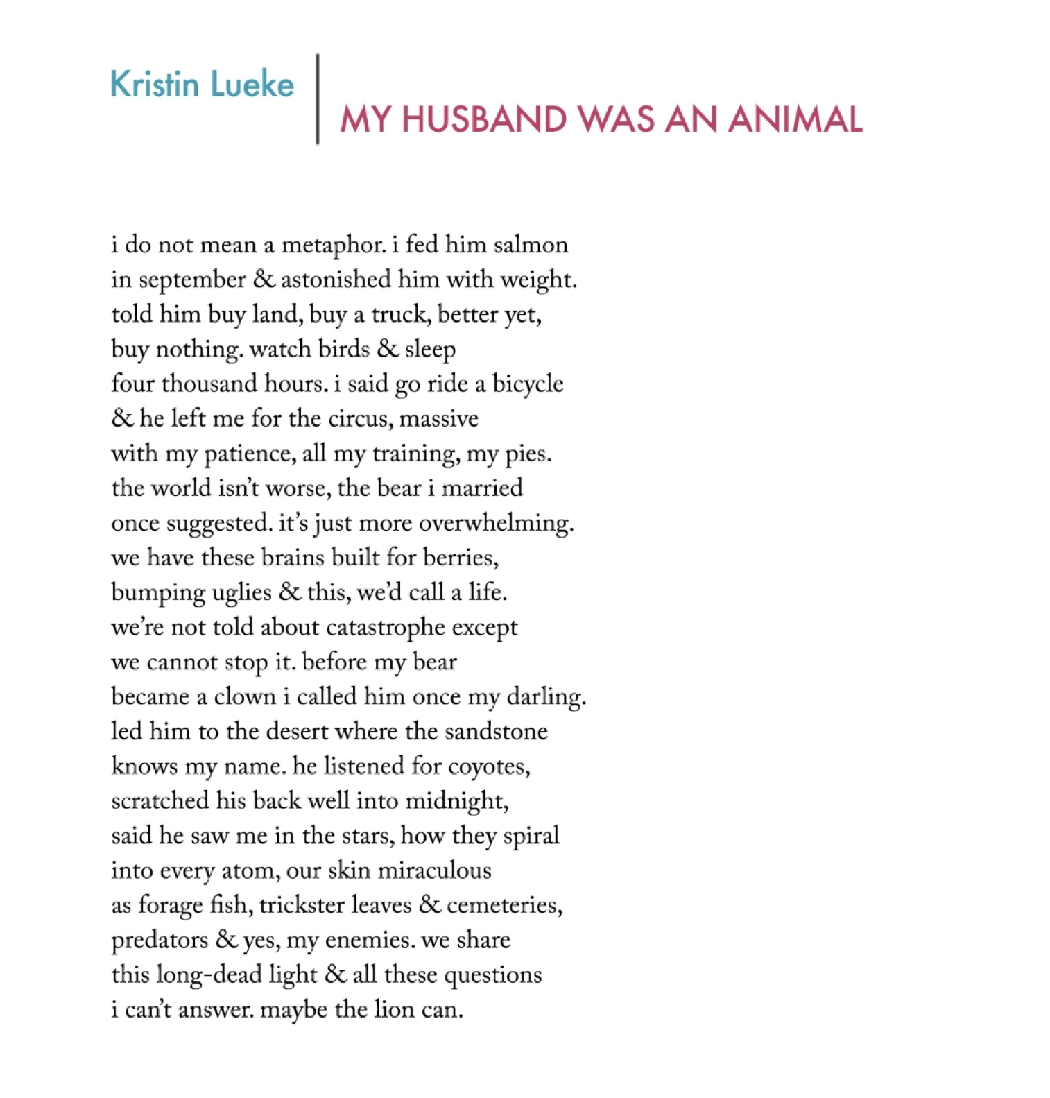 my husband was an animal i do not mean a metaphor. i fed him salmon in september & astonished him with weight. told him buy land, buy a truck, better yet, buy nothing. watch birds & sleep four thousand hours. i said go ride a bicycle & he left me for the circus, massive with my patience, all my training, my pies. the world isn’t worse, the bear i married once suggested. it’s just more overwhelming. we have these brains built for berries, bumping uglies & this, we’d call a life. we’re not told about catastrophe except we cannot stop it. before my bear became a clown i called him once my darling. led him to the desert where the sandstone knows my name. he listened for coyotes, scratched his back well into midnight, said he saw me in the stars, how they spiral into every atom, our skin miraculous as forage fish, trickster leaves & cemeteries, predators & yes, my enemies. we share this long-dead light & all these questions i can’t answer. maybe the lion can.