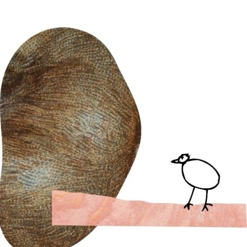No strange bird sings alone